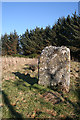 NH8255 : Kebbuck Stone by Anne Burgess