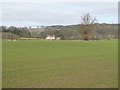 Farmland east of Megsmill Plantation