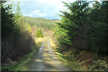 NR9492 : Forestry road in Ardcastle Wood by Steven Brown