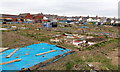 Slaughterhouse Allotments, Barry