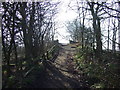 Footpath over Pickering