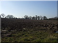 Farmland of Massey Brook Lane