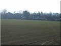 Farmland near Lymm