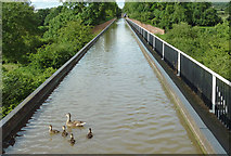 SP1660 : The Edstone Aqueduct near Bearley Cross, Warwickshire by Roger  Kidd