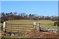 Grassland & woodland north of Corsliehill Road