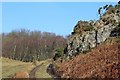 Disused quarry & woodland north of Corsliehill Road