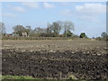 Farmland near Brewery Farm