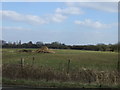 Farmland near Little Byrom Hall Farm