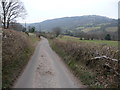 Lane in Cwm Llanwenarth