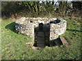 The Virtuous Well, Trellech