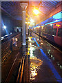 SD9926 : In an autumn storm at Hebden Bridge station by Phil Champion
