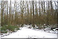 Snowy path, East Hoath Wood