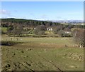 Pasture to south of Hepple Whitefield