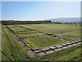 Corstopitum - forum/storehouse