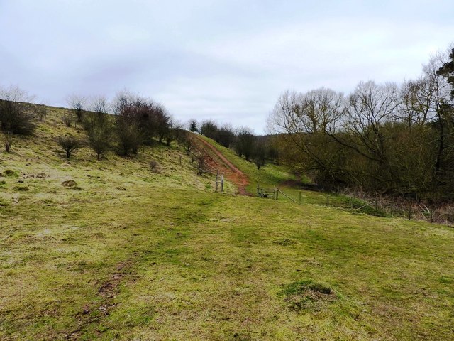 Footpath through the valley of the Stratford Brook