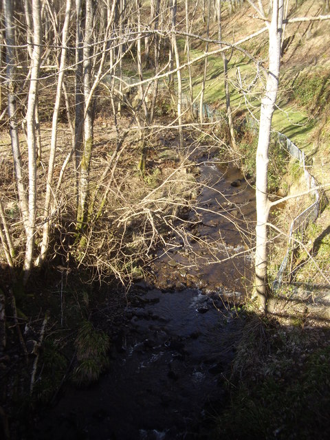 Upstream Bennie Burn