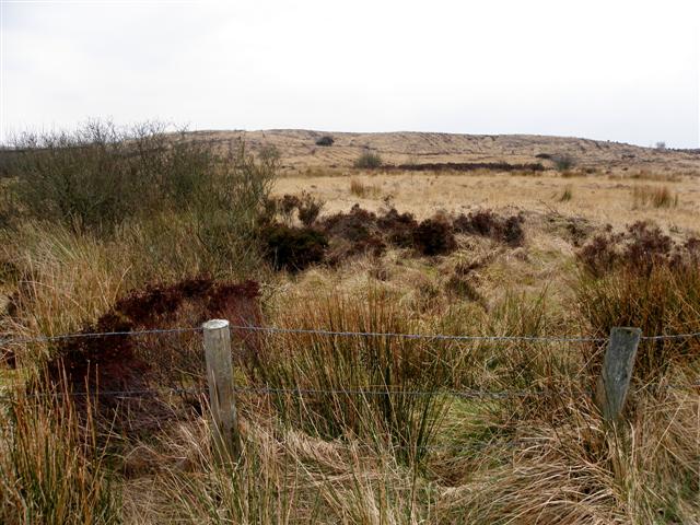 boggy-ground-altdrumman-kenneth-allen-geograph-britain-and-ireland