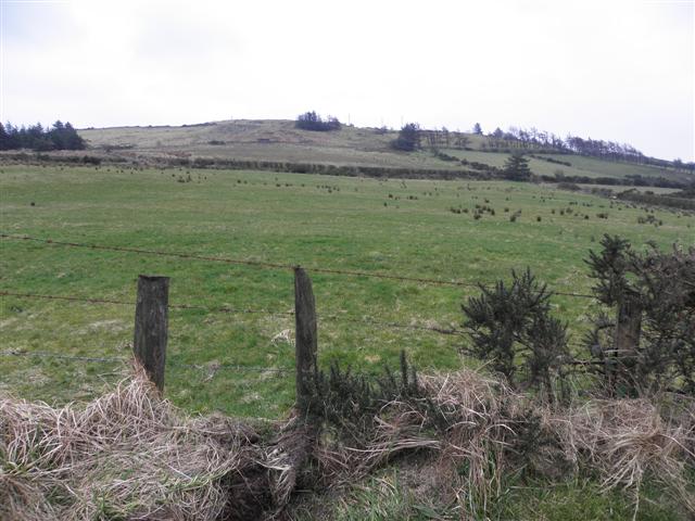 Loughmacrory Townland