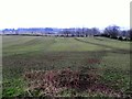 Slurry in a field, Loughmacrory