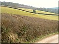 Fields above Higher Dunscombe