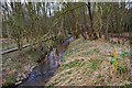 Hoo Brook, Spennells Valley Nature Reserve, Spennells, Kidderminster