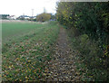 Footpath to Great Wilbraham