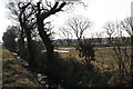 Wet ditch and flooded fields