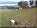 Sheep pasture by the A381