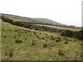 Grazing land between the B25 and the open mountain