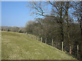 Field margin beside Green Gill