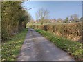 Lane towards Yew Tree Farm