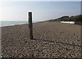 Lonely pole lonely beach