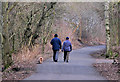 Fife coastal path