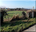 Kissing gate access to a public footpath, Horsemarling Lane, Standish