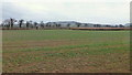 Footpath over arable land