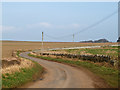 Minor road near Kirkton Barns