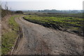 Farm track, Longney