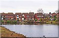 Houses in Kittiwake Drive overlooking Captain