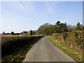 Towards Bettenham Manor on Digdog Lane