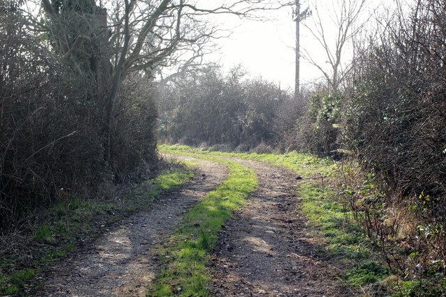 Lane to Dodleston