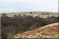 Cottage near Colshaw