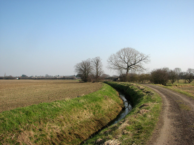 Reynolds' Drove and Reynolds' Ditch