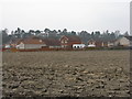 Houses at Airth