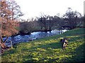 River Petteril near Calthwaite Bridge