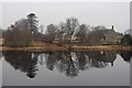 Reflective Shin near Lairg