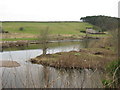 Buildings at Tweedmill