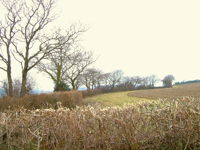 Field boundary by Hestow Road