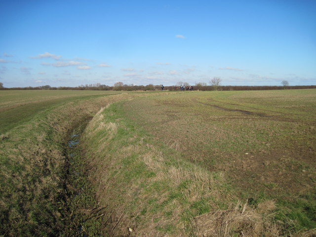 Field  Drain  on  the  Plain  of  Holderness