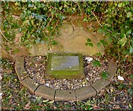 NS3975 : Gravestone of William McAlla by Lairich Rig