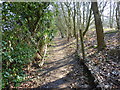 Footpath to Lorenden Park, Painters Forstal